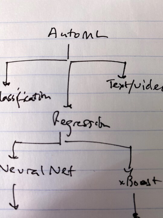 Automated Machine Learning